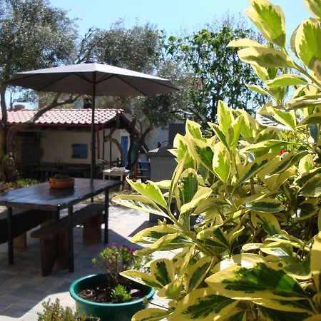 Apartments Olea Pinezići エクステリア 写真
